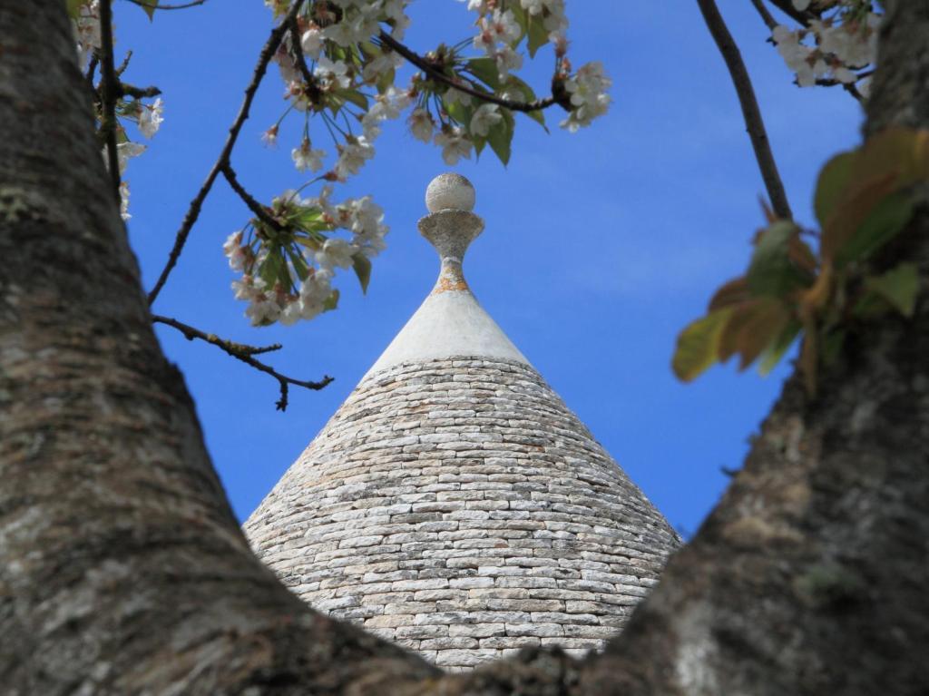 Pensjonat Pietraluce Alberobello Zewnętrze zdjęcie