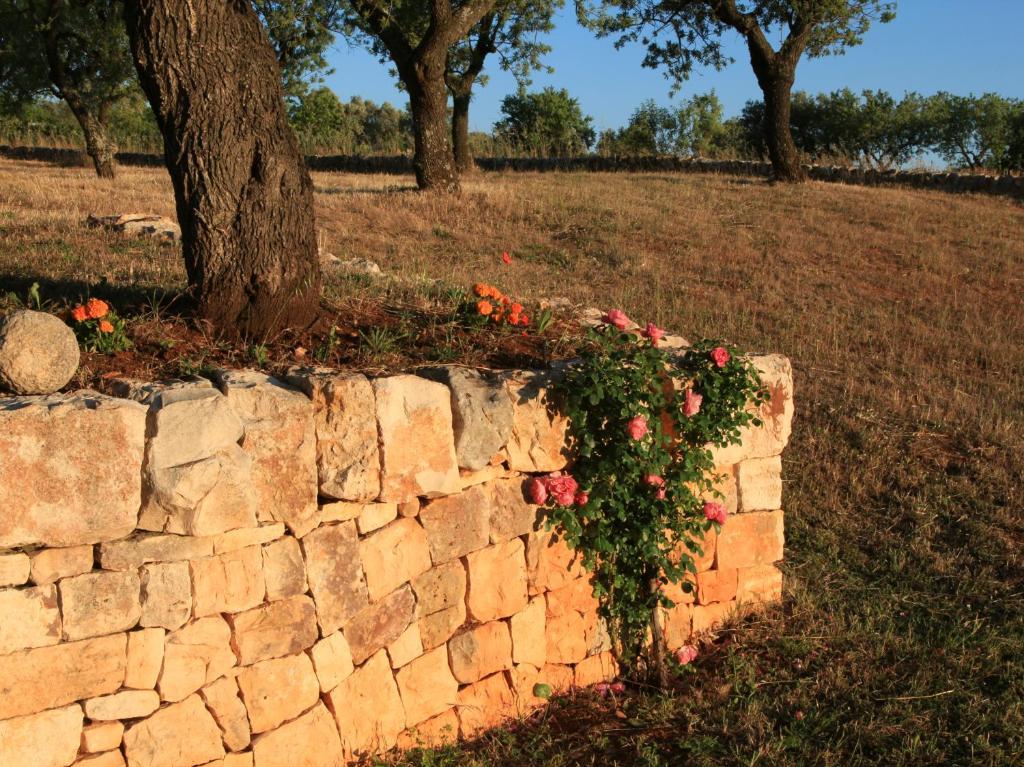 Pensjonat Pietraluce Alberobello Zewnętrze zdjęcie